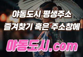 야동도시